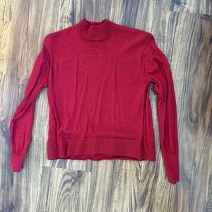 Everlane cashmere turtleneck